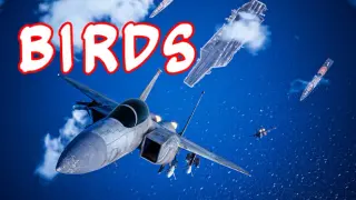 Birds
