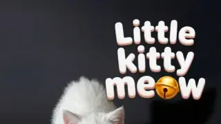 Little Kitty Meow - Switch