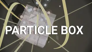 Particle Box