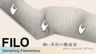 FILO: Something Filamentous