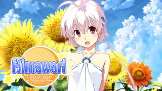 Himawari - The Sunflower