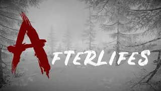 Afterlifes