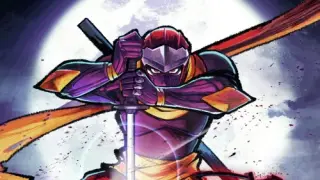 Ninja Issen (εΏθ
δΈι) : The Scroll of Dimension - Switch