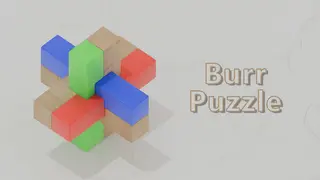 Burr Puzzle