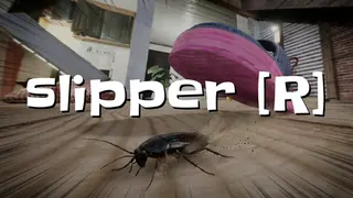 Slipper [R]