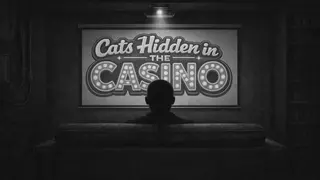 Cats Hidden in the Casino