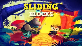 Sliding Blocks