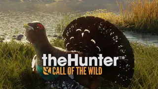 theHunter: Call of the Wild - Revontuli Coast - PS4