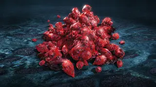 DMC5 - 100,000 Red Orbs - Xbox One