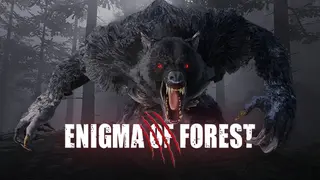 Enigma Of Forest