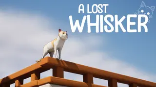A Lost Whisker