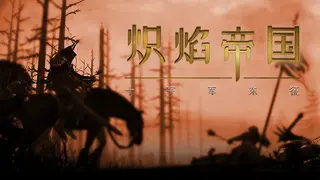 炽焰帝国:十字军东征