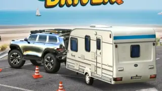 Paradise Island Driver - Switch