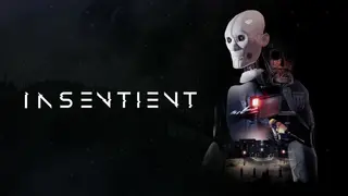 INSENTIENT