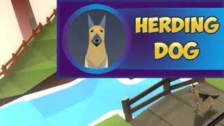 Herding Dog