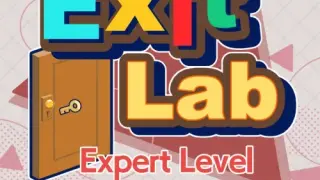 Exit Lab Expert Level - Switch