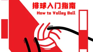 排球入门指南