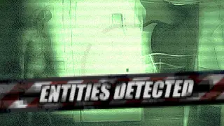 Entities Detected