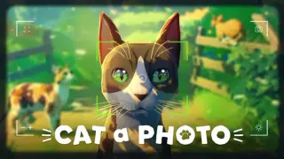 Cat a Photo