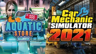 Car Mechanic in Aquatic Store