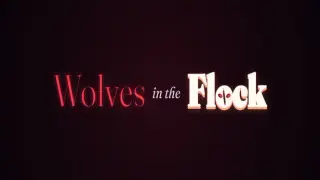 Wolves In The Flock