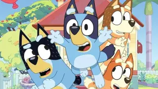 Bluey