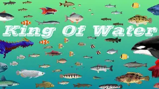 King Of Water