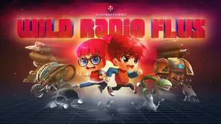 Wild Radio Flux