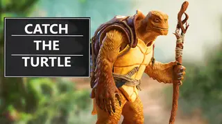 Catch the Turtle