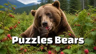 Puzzles Bears