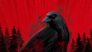 Project Songbird - Xbox Series