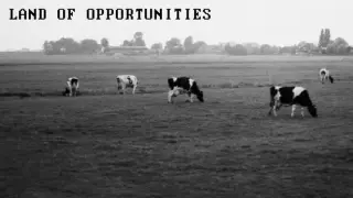Land Of Opportunities