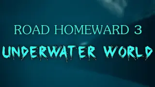 ROAD HOMEWARD 3 underwater world