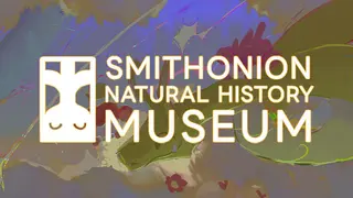 Smithonion Natural History Museum