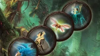 Warhammer: Chaosbane - Pet Pack - PS4