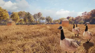 theHunter: Call of the Wild - Wild Goose Chase Gear - Xbox One