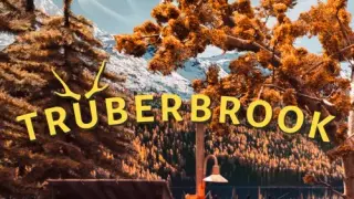 Trüberbrook - Switch