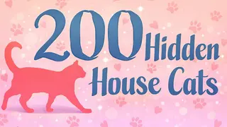 200 Hidden House Cats