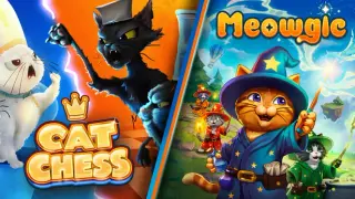 Magic and Strategy Cats