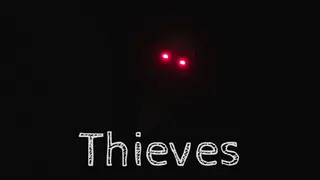 Thieves