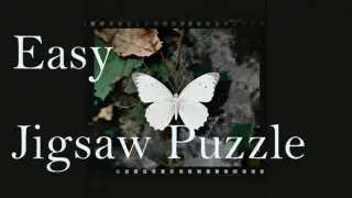 Easy Jigsaw Puzzle