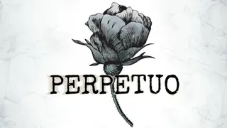 Perpetuo