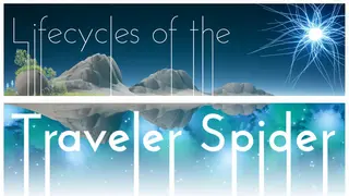 Lifecycles of the Traveler Spider