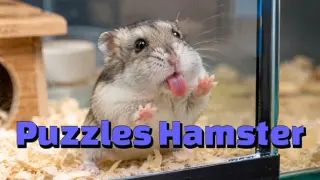 Puzzles Hamster