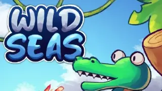 Wild Seas - Switch
