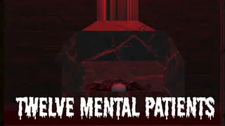 Twelve Mental Patients