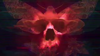 Transient: Extended (Xbox One)