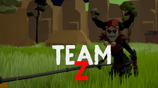 Team-Z