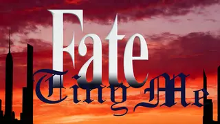 Fate/Tiny Me
