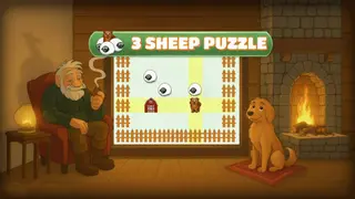 3 Sheep Puzzle